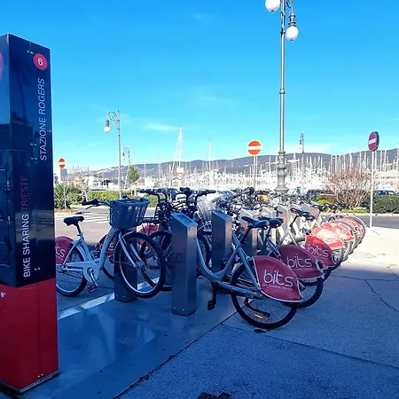 Le Petit Phare Terst